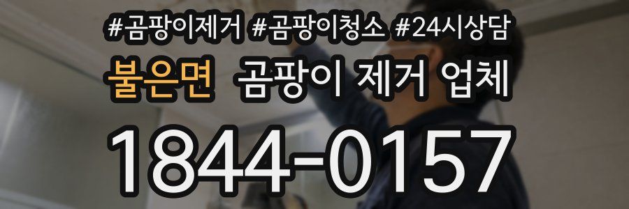 불은면 곰팡이 제거 업체