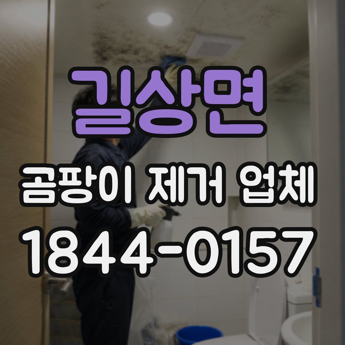 길상면 곰팡이 제거 업체