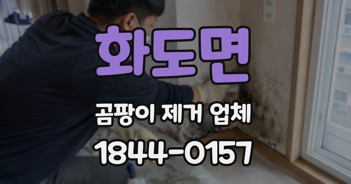 화도면 곰팡이 제거 업체