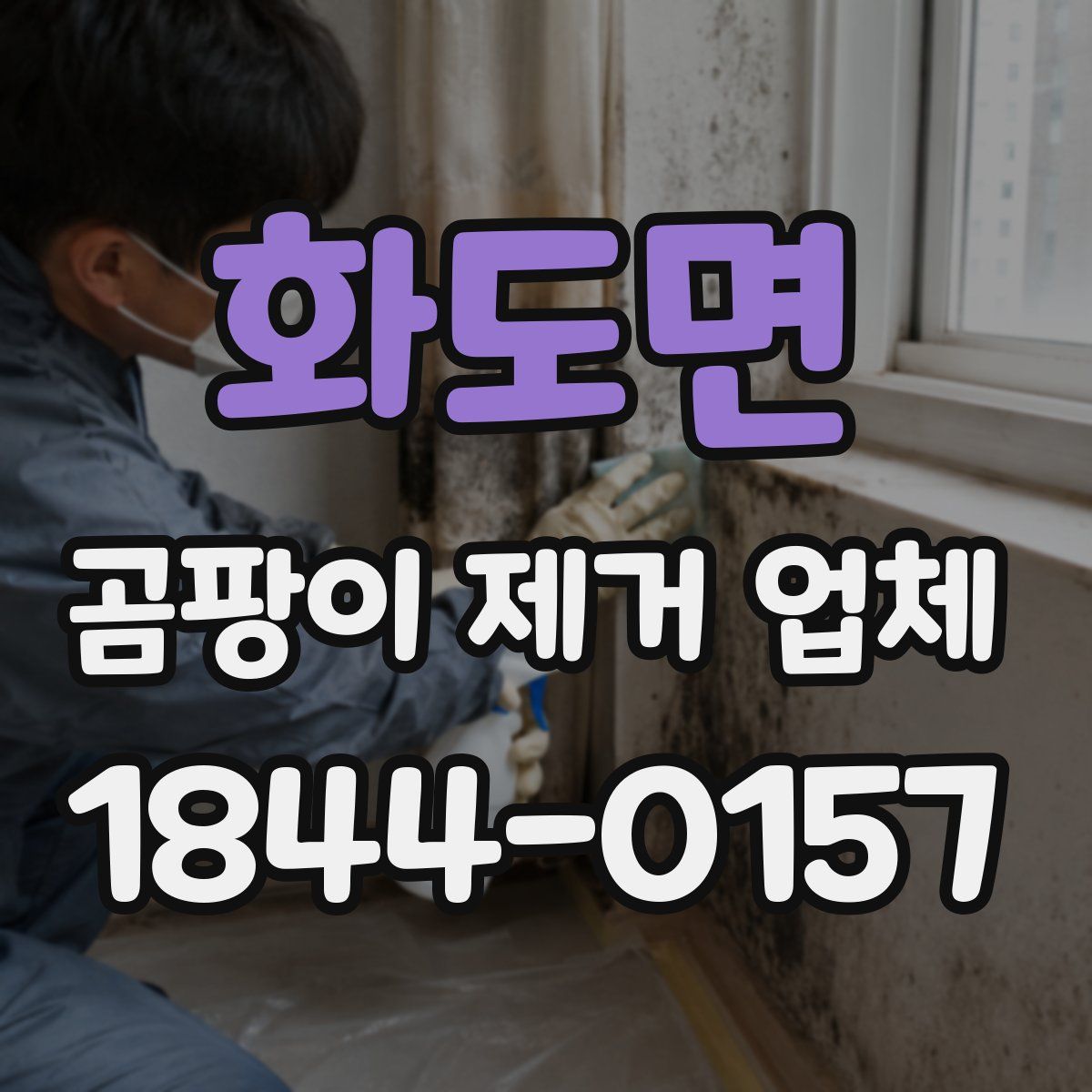 화도면 곰팡이 제거 업체