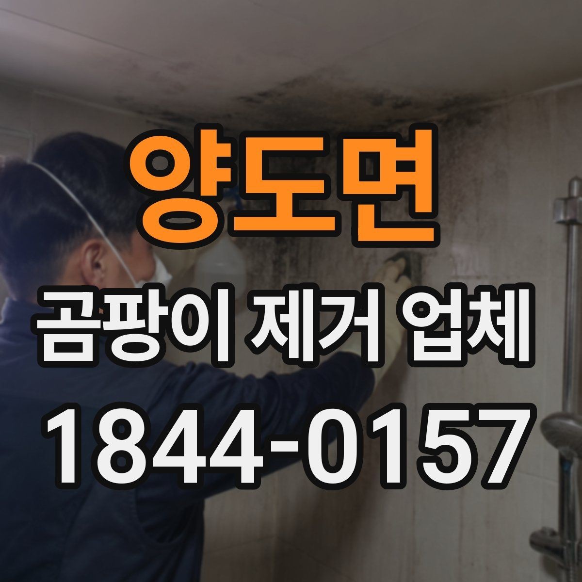 양도면 곰팡이 제거 업체 업체 방문 전 준비하면 좋은 사진과 체크 항목