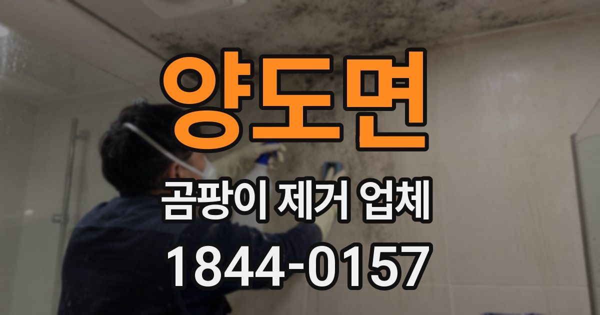 양도면 곰팡이 제거 업체
