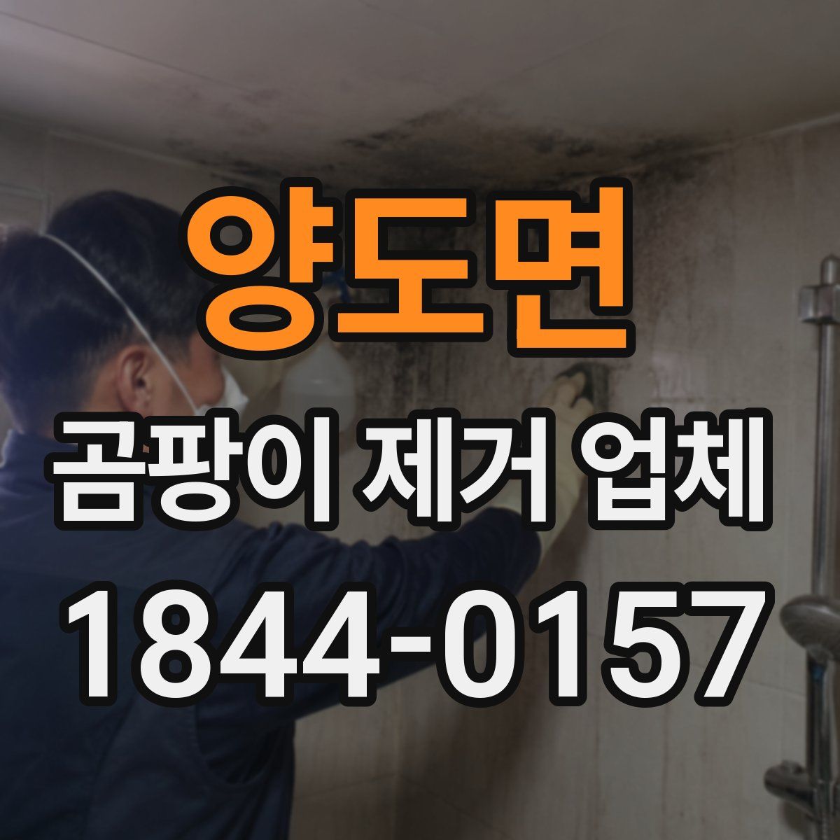 양도면 곰팡이 제거 업체