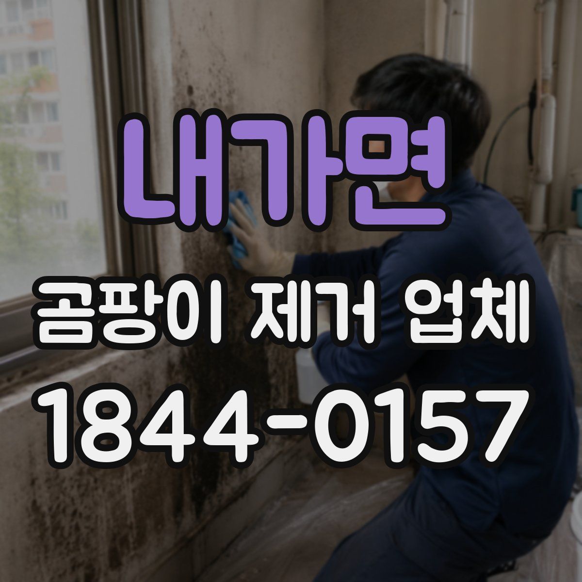 내가면 곰팡이 제거 업체