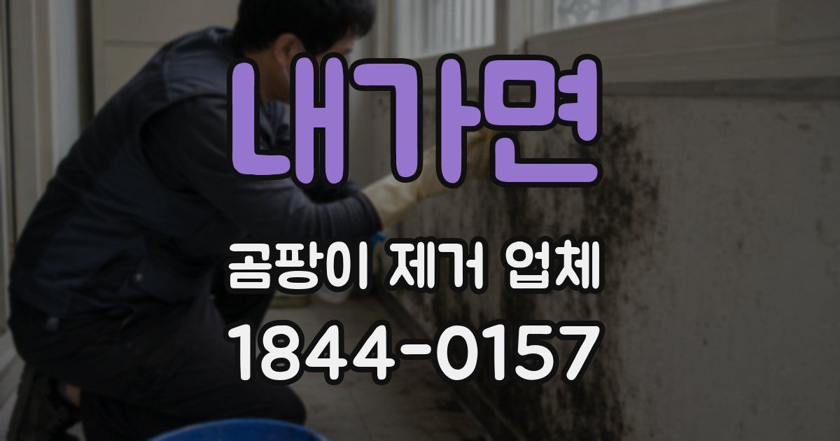 내가면 곰팡이 제거 업체