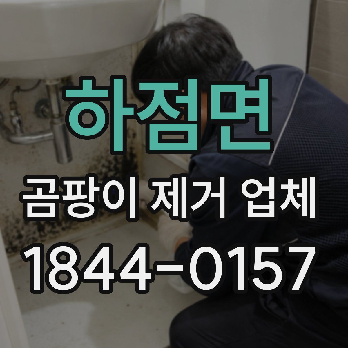 하점면 곰팡이 제거 업체