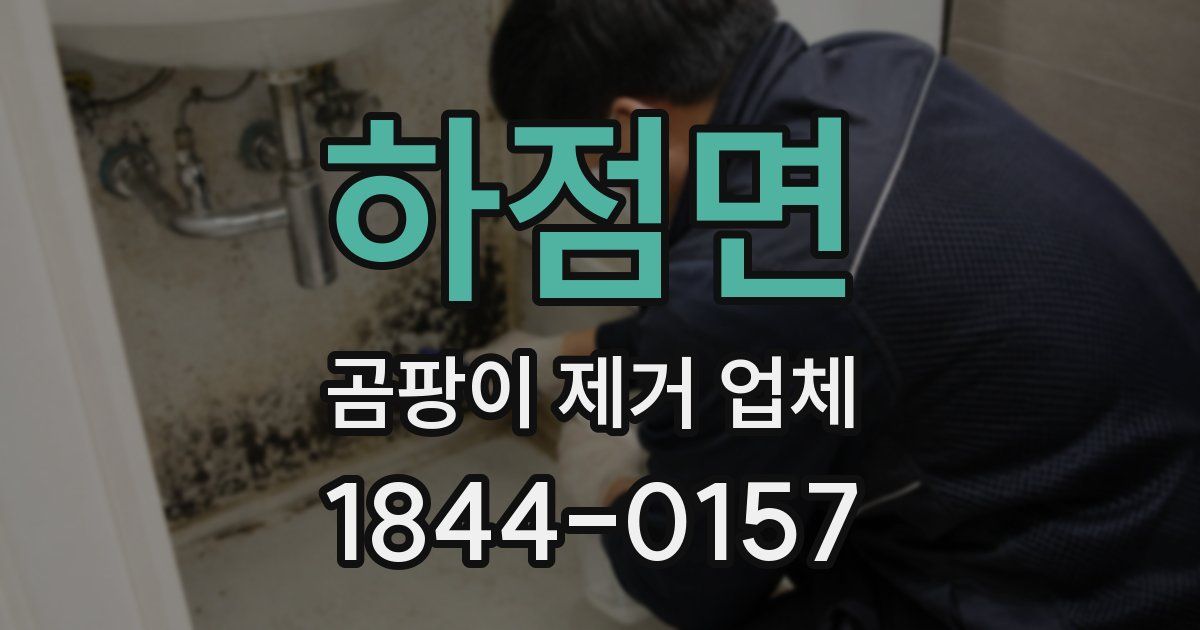 하점면 곰팡이 제거 업체