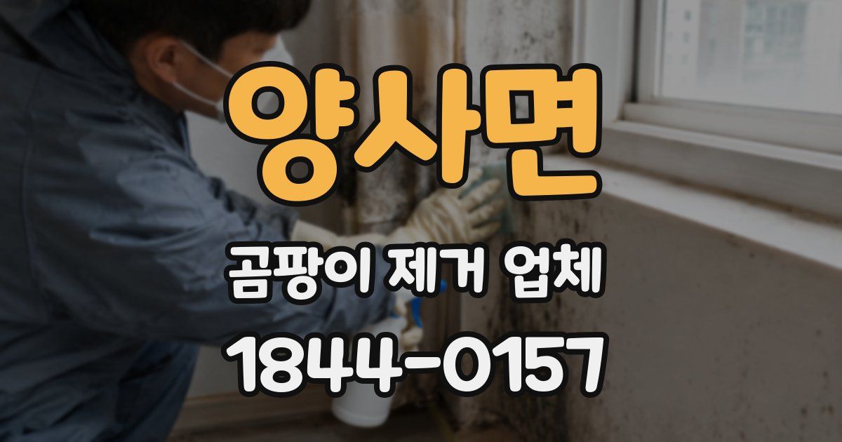 양사면 곰팡이 제거 업체