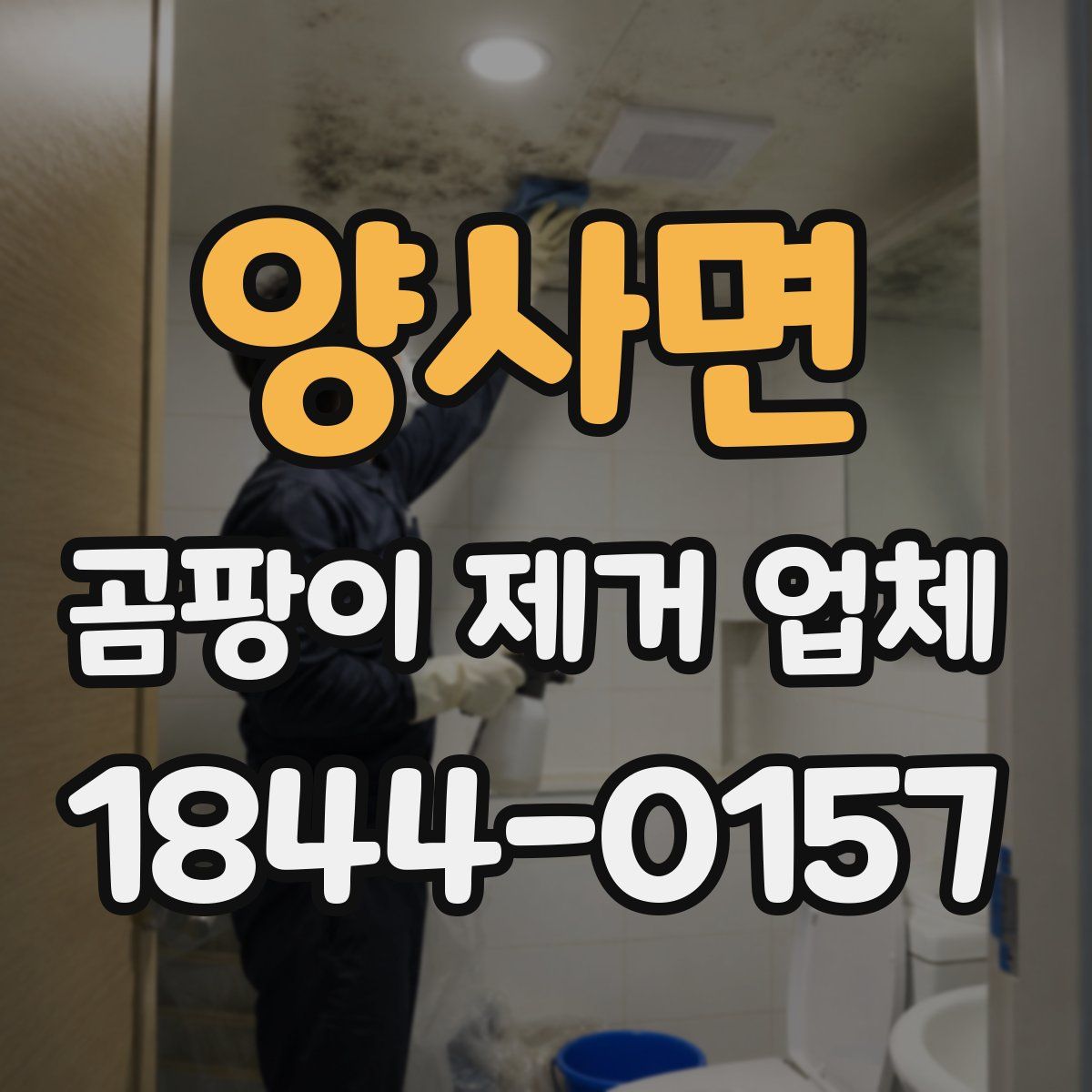 양사면 곰팡이 제거 업체