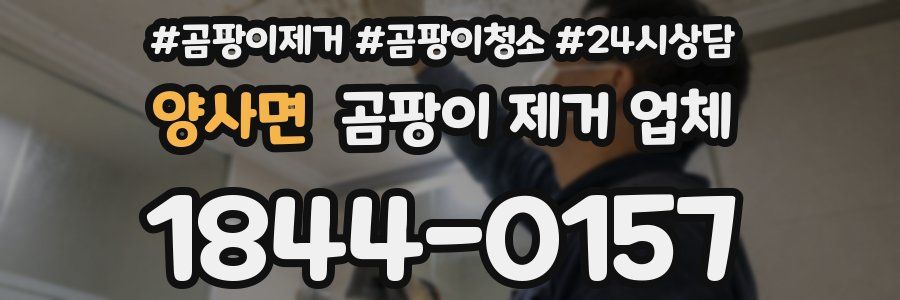 양사면 곰팡이 제거 업체