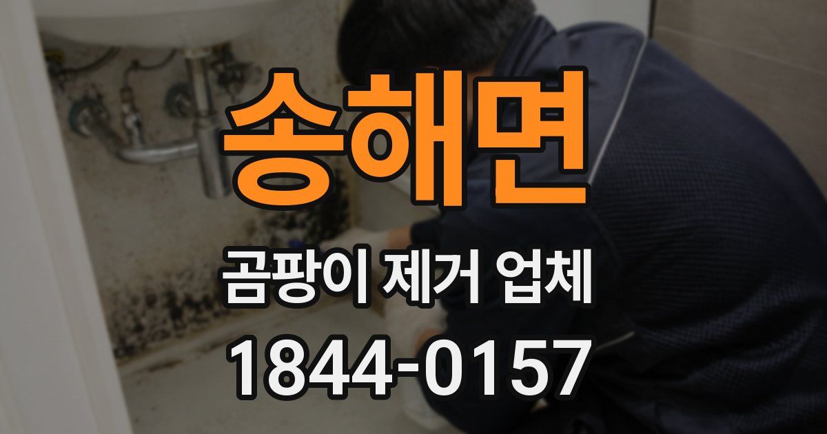 송해면 곰팡이 제거 업체