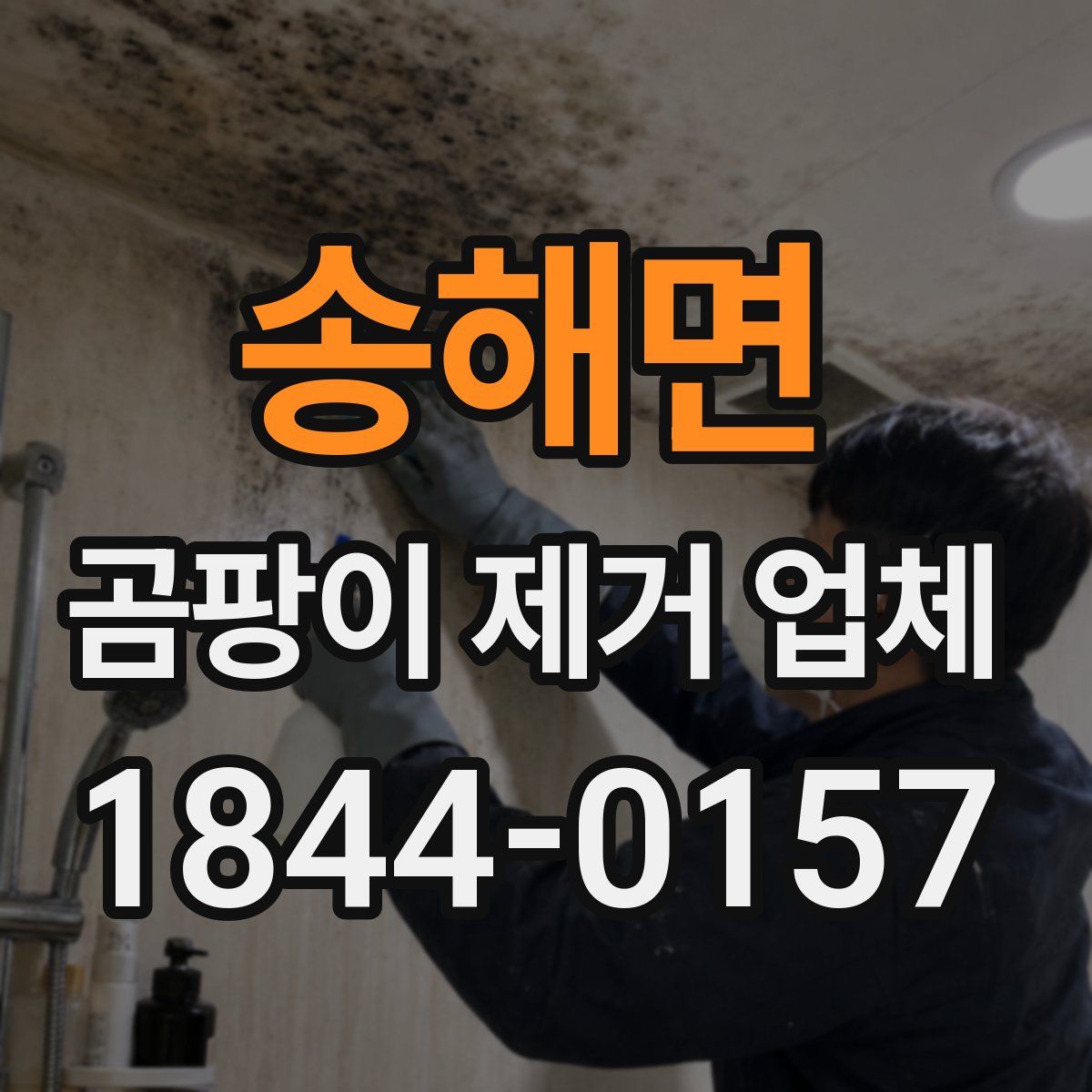 송해면 곰팡이 제거 업체