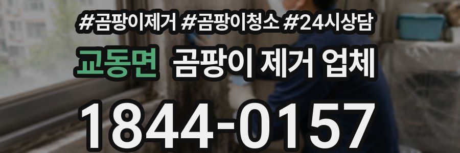 교동면 곰팡이 제거 업체