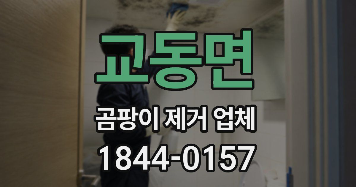 교동면 곰팡이 제거 업체