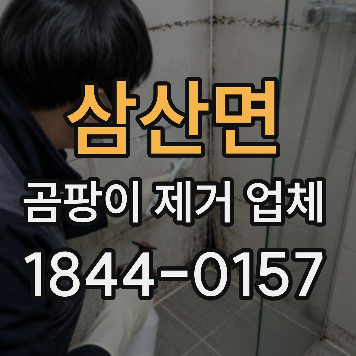 삼산면 곰팡이 제거 업체