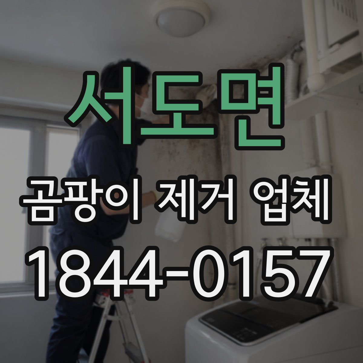 서도면 곰팡이 제거 업체