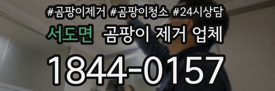 서도면 곰팡이 제거 업체