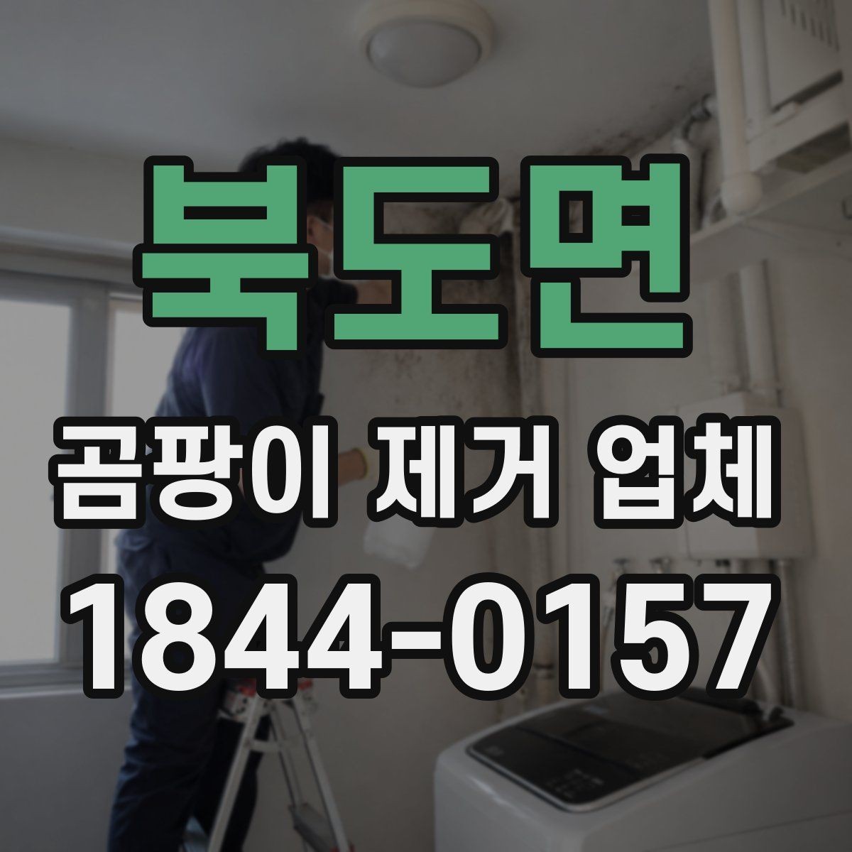 북도면 곰팡이 제거 업체 부분 시공과 전체 시공을 나누는 기준