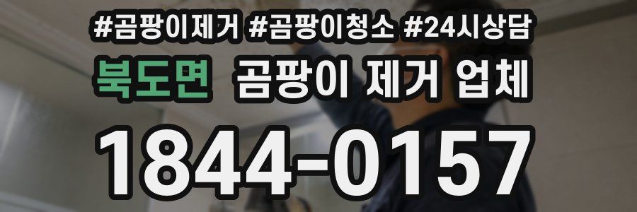 북도면 곰팡이 제거 업체