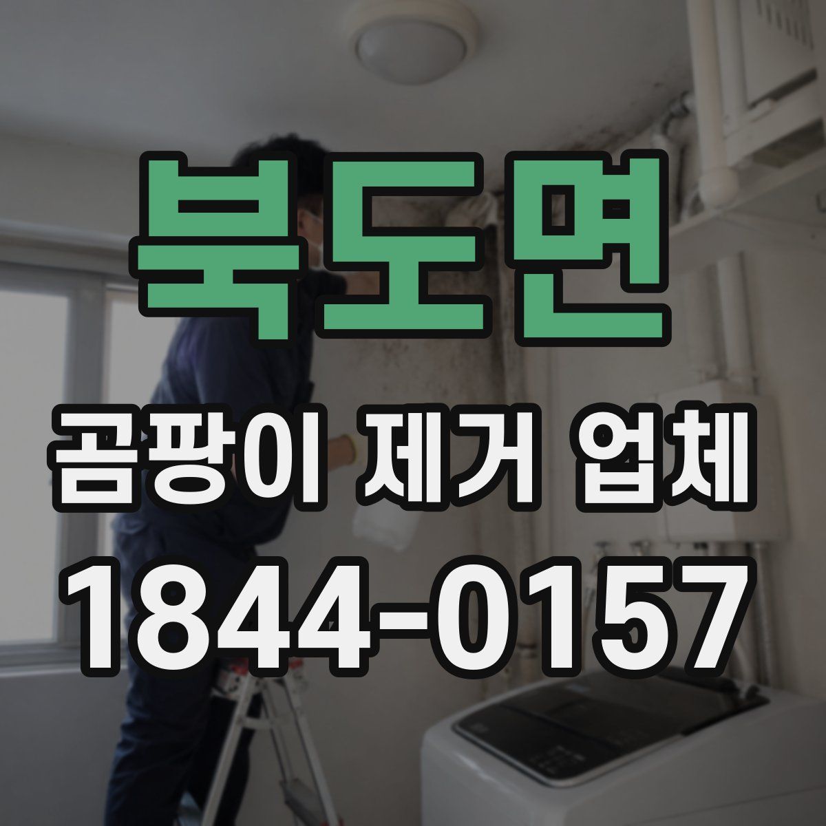 북도면 곰팡이 제거 업체