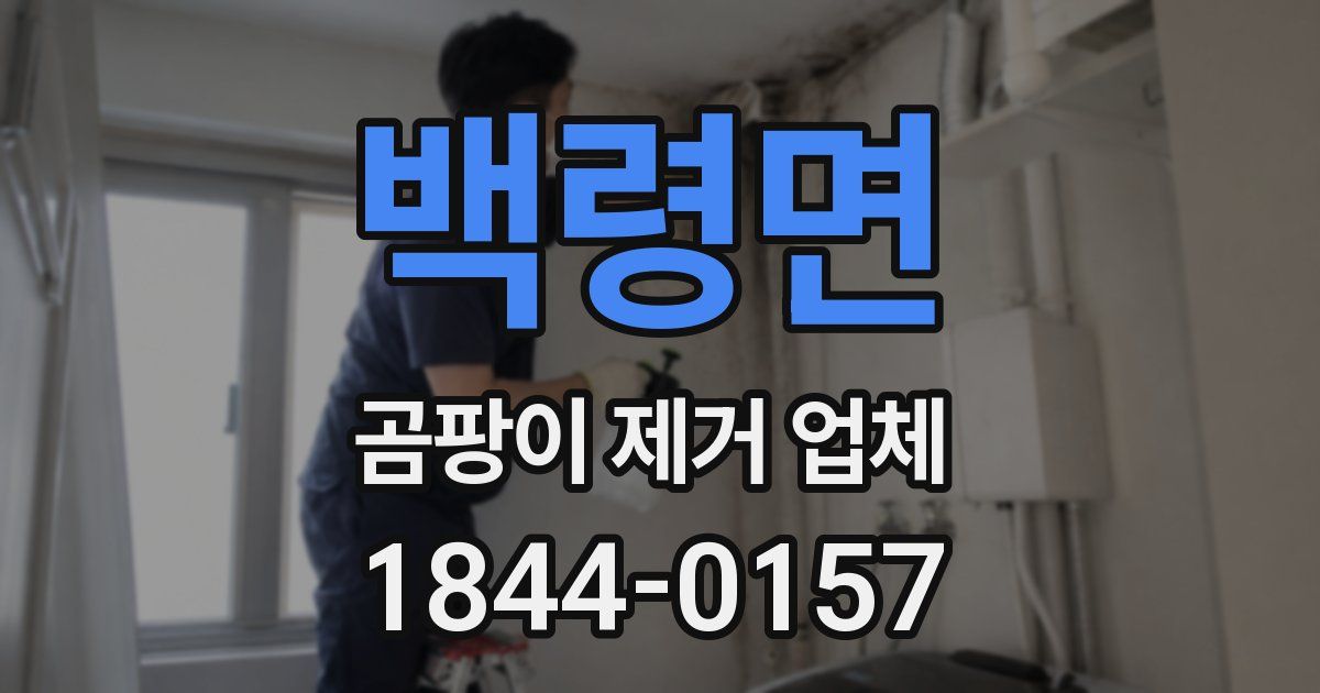 백령면 곰팡이 제거 업체