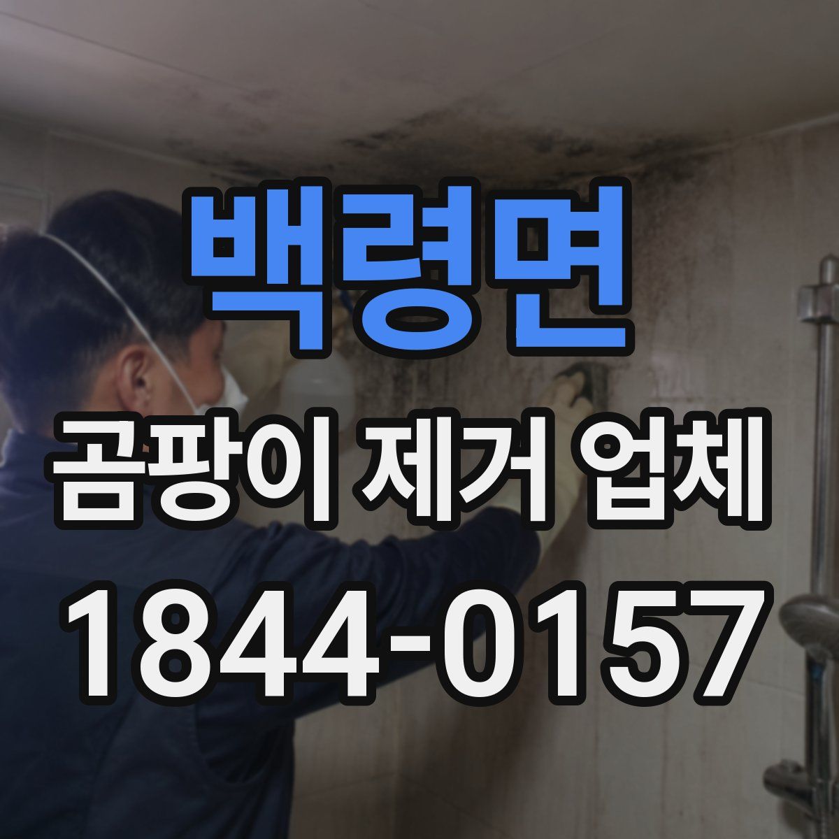 백령면 곰팡이 제거 업체