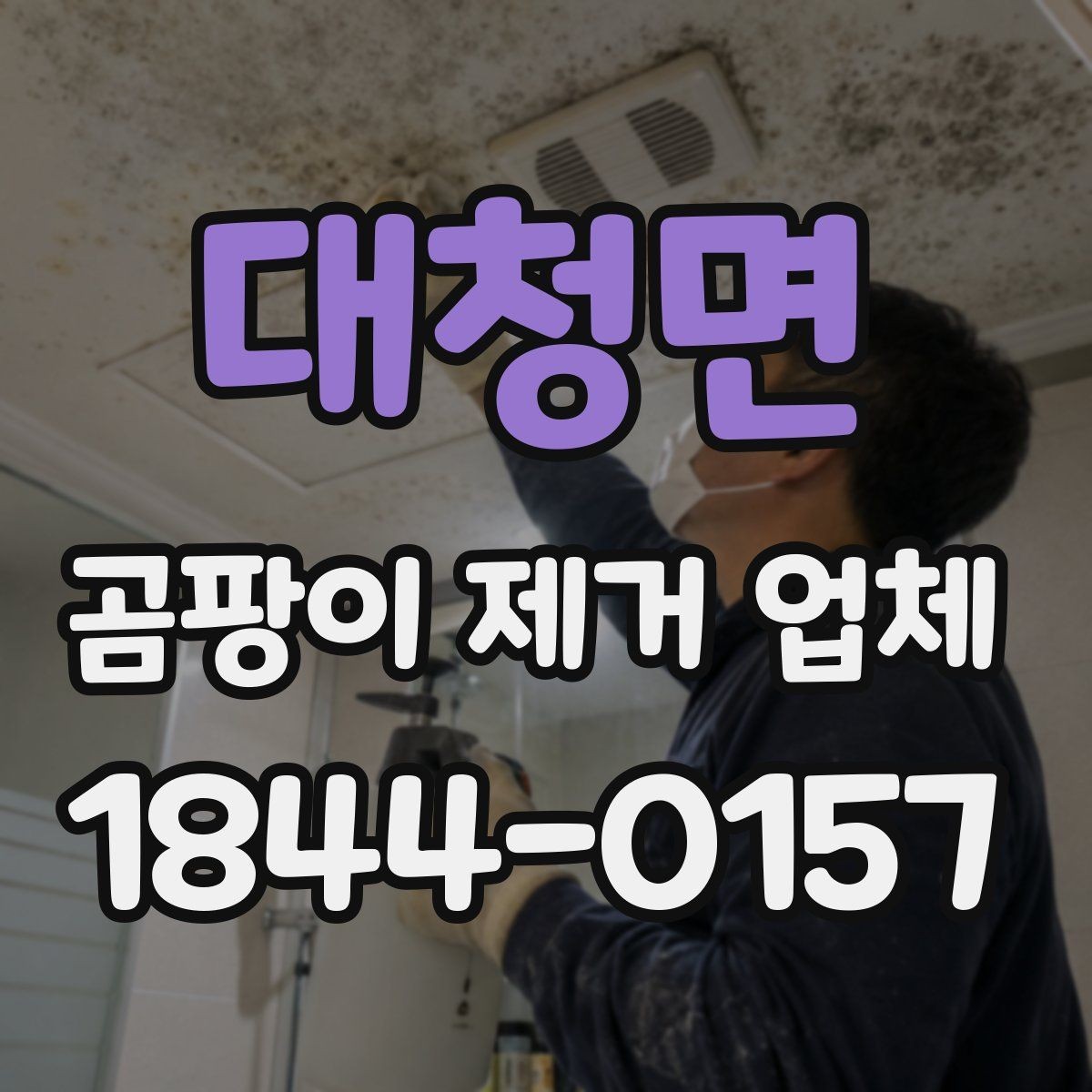 대청면 곰팡이 제거 업체 천장 오염이 반복되는 패턴 살펴보기