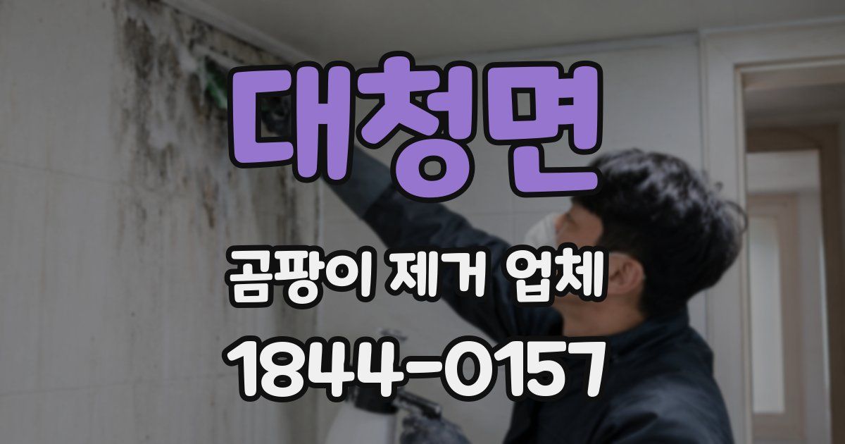 대청면 곰팡이 제거 업체