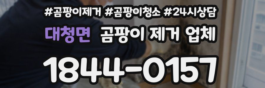 대청면 곰팡이 제거 업체