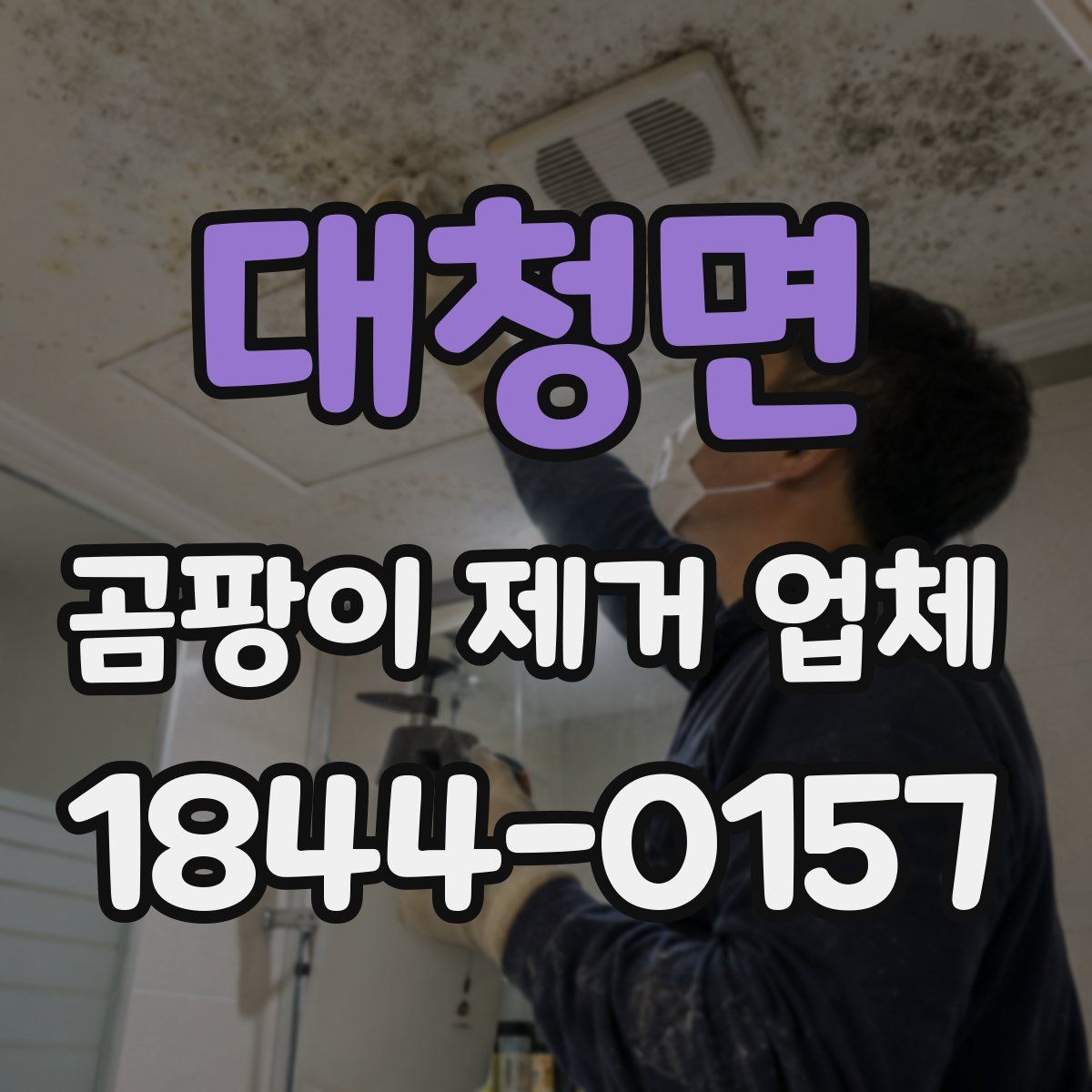 대청면 곰팡이 제거 업체