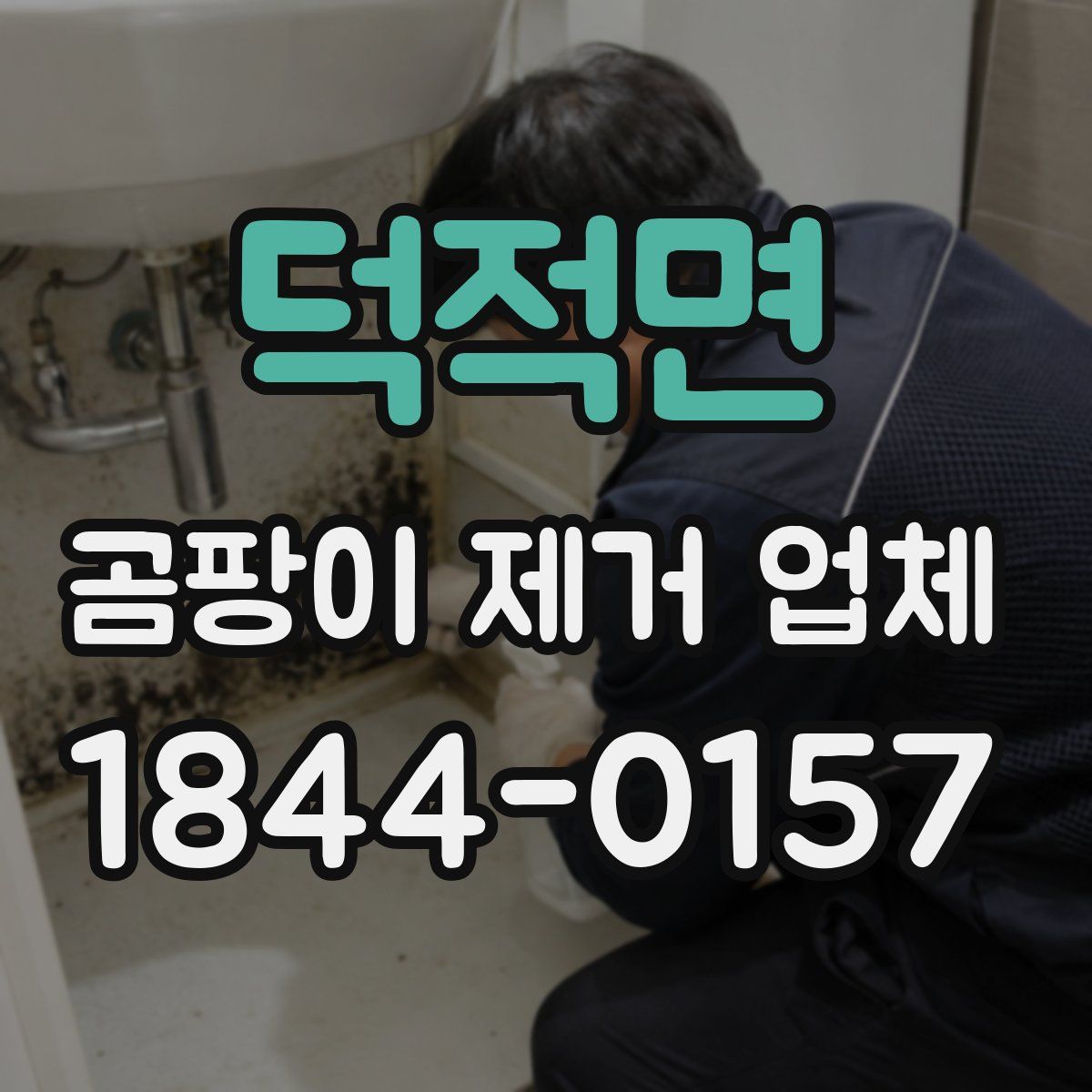 덕적면 곰팡이 제거 업체