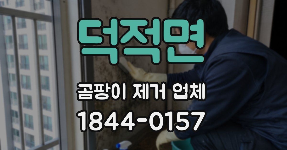 덕적면 곰팡이 제거 업체