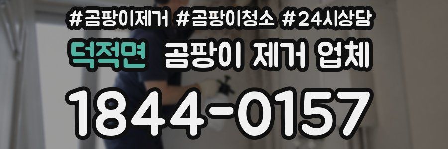 덕적면 곰팡이 제거 업체