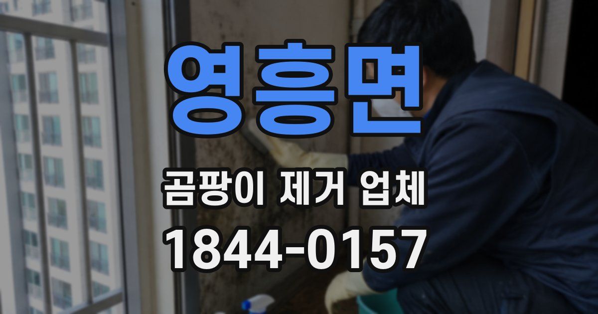 영흥면 곰팡이 제거 업체