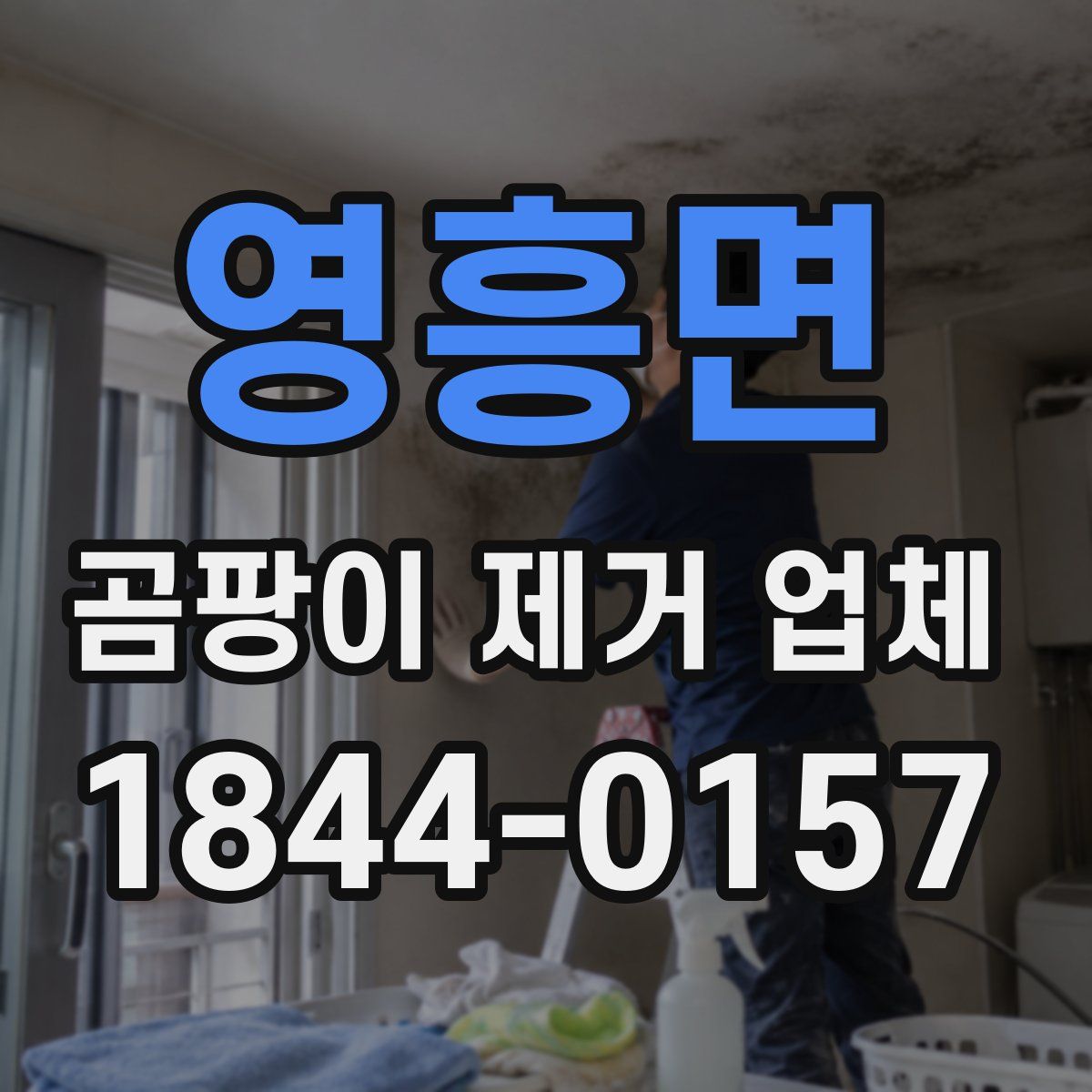 영흥면 곰팡이 제거 업체