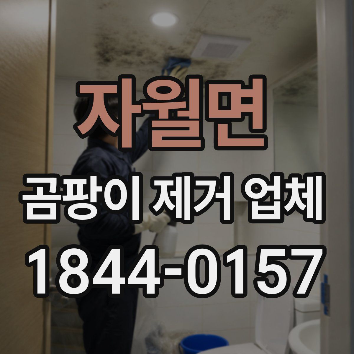 자월면 곰팡이 제거 업체