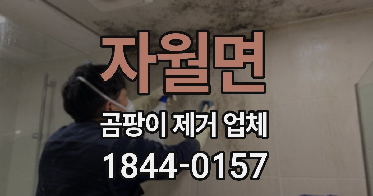 자월면 곰팡이 제거 업체