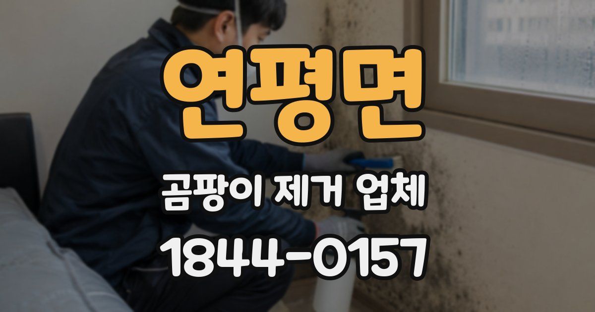 연평면 곰팡이 제거 업체