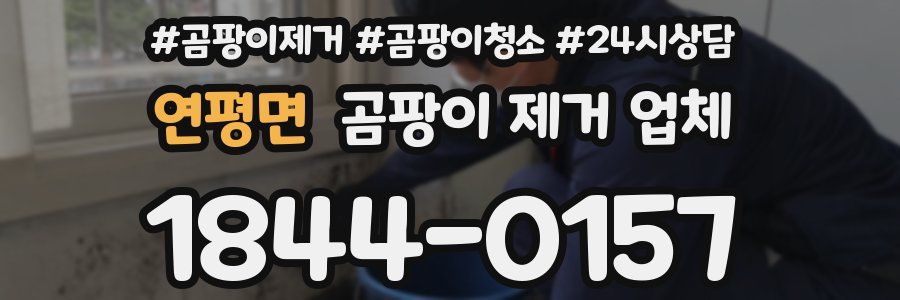 연평면 곰팡이 제거 업체