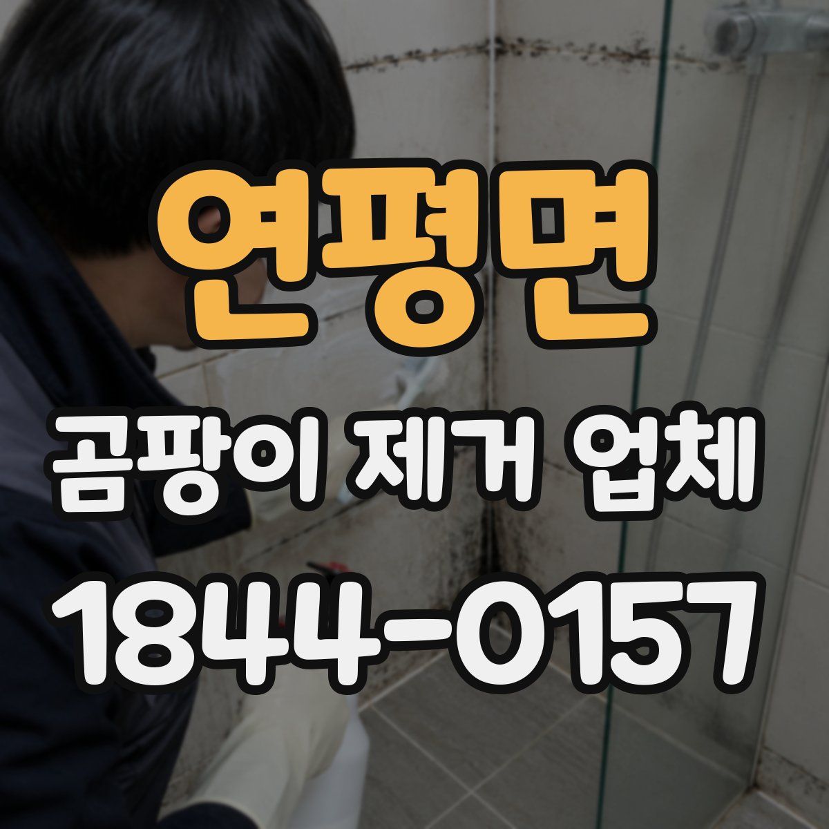연평면 곰팡이 제거 업체