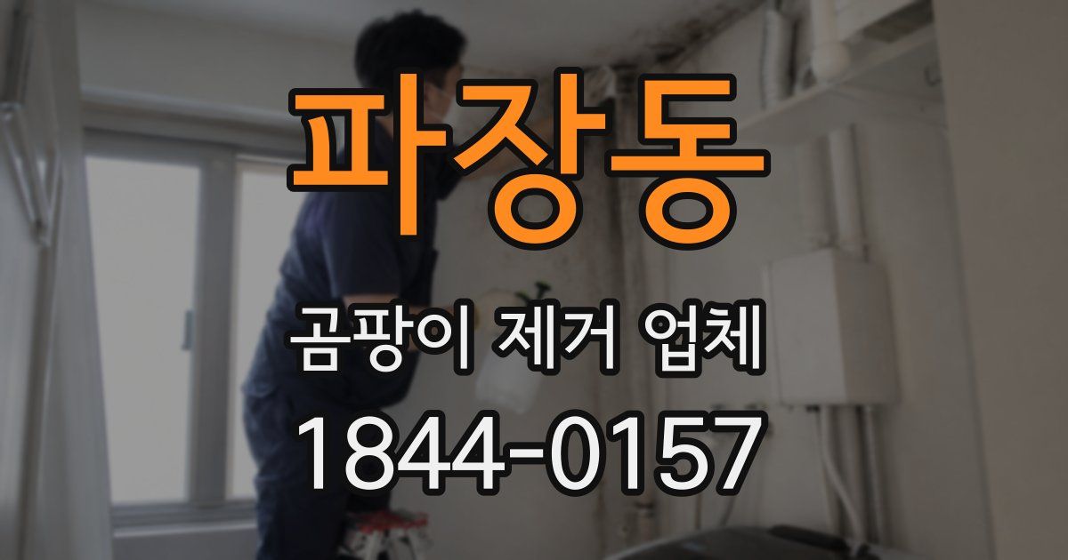 파장동 곰팡이 제거 업체