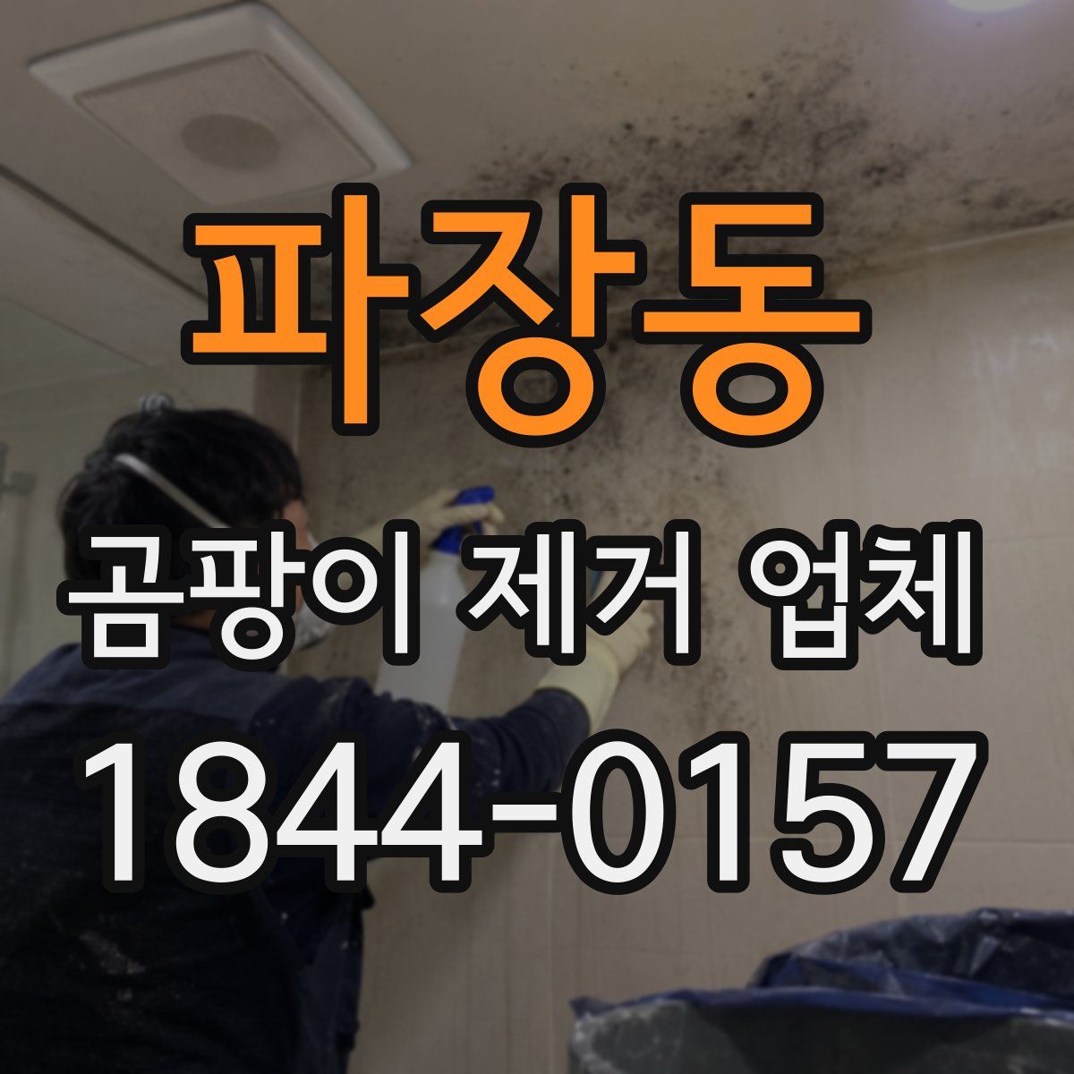 파장동 곰팡이 제거 업체