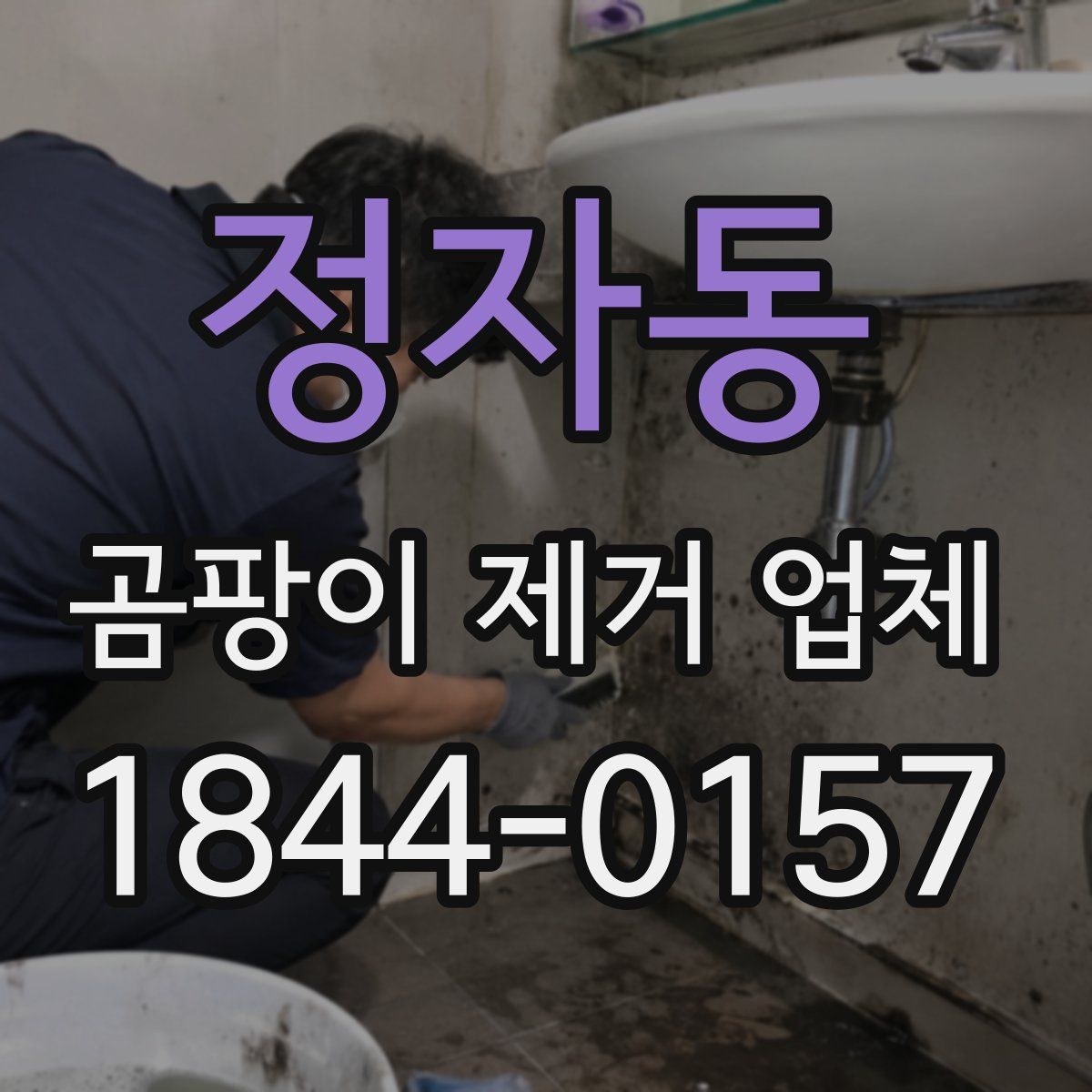 정자동 곰팡이 제거 업체