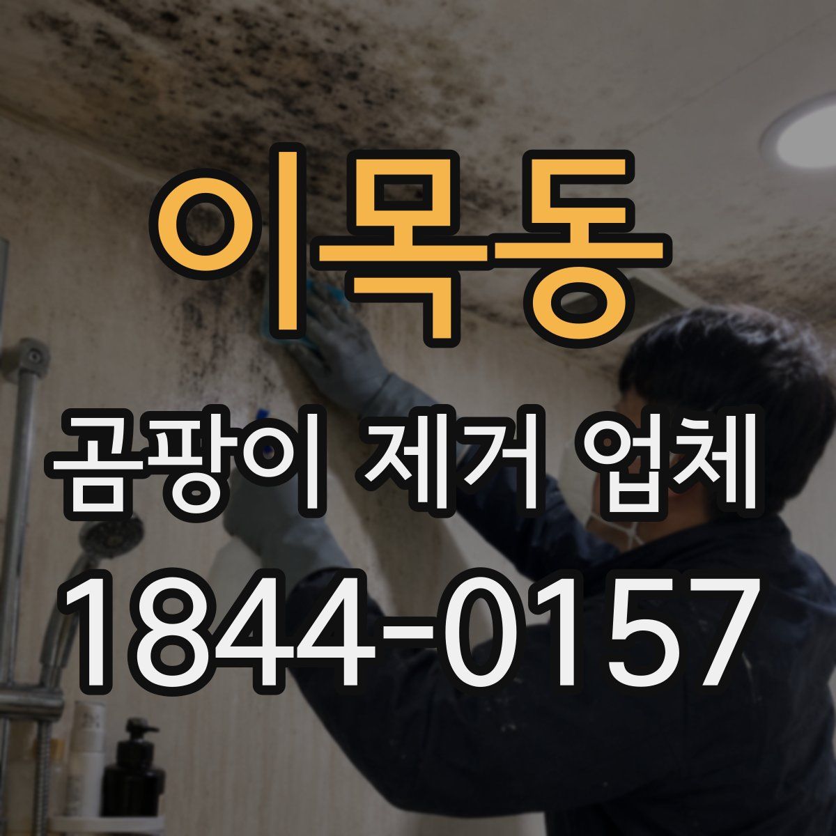 이목동 곰팡이 제거 업체