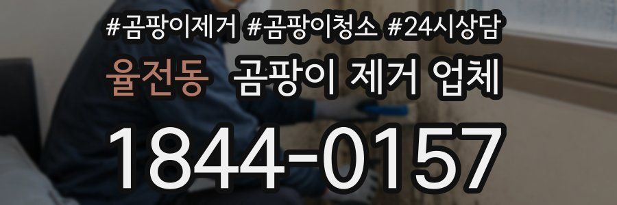 율전동 곰팡이 제거 업체
