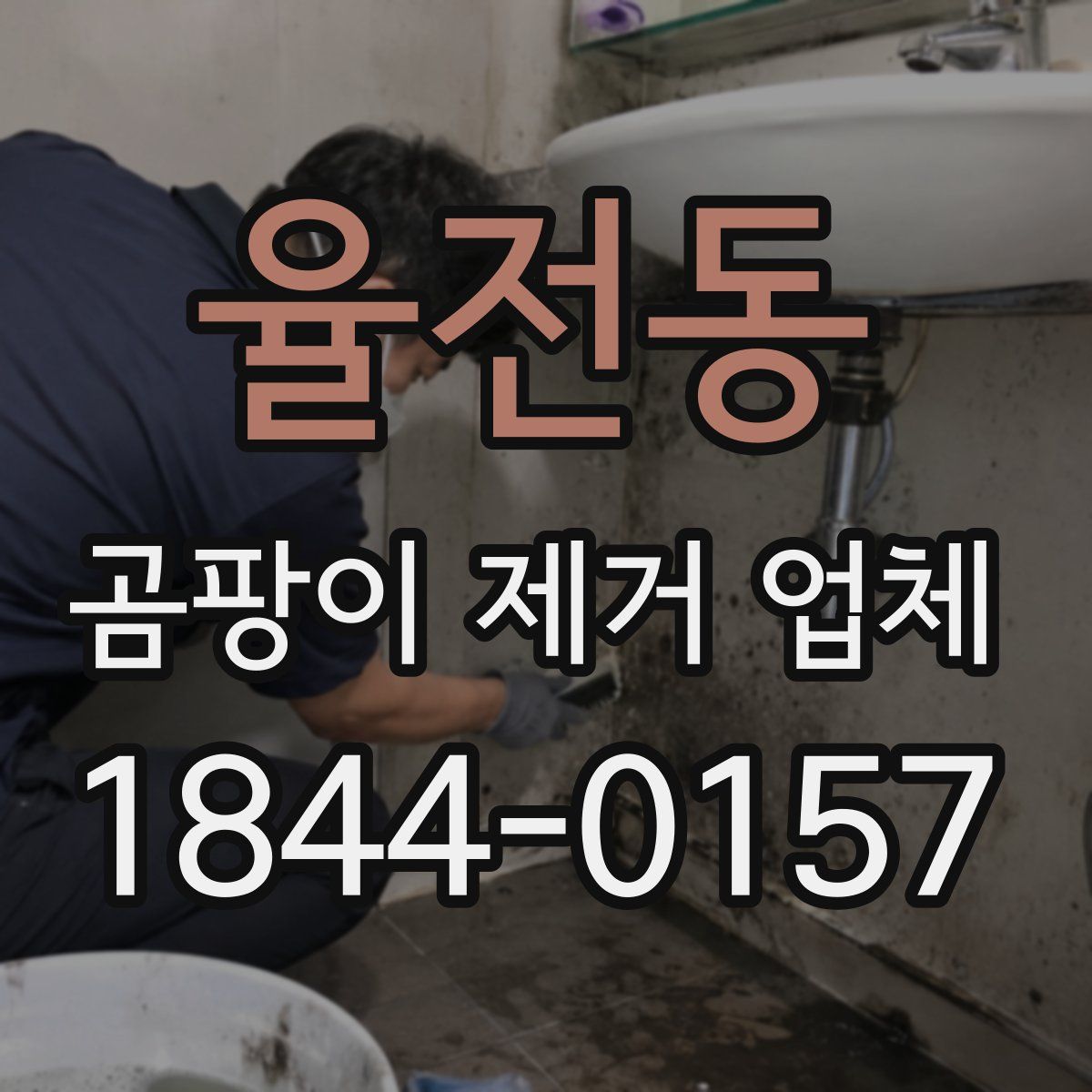 율전동 곰팡이 제거 업체