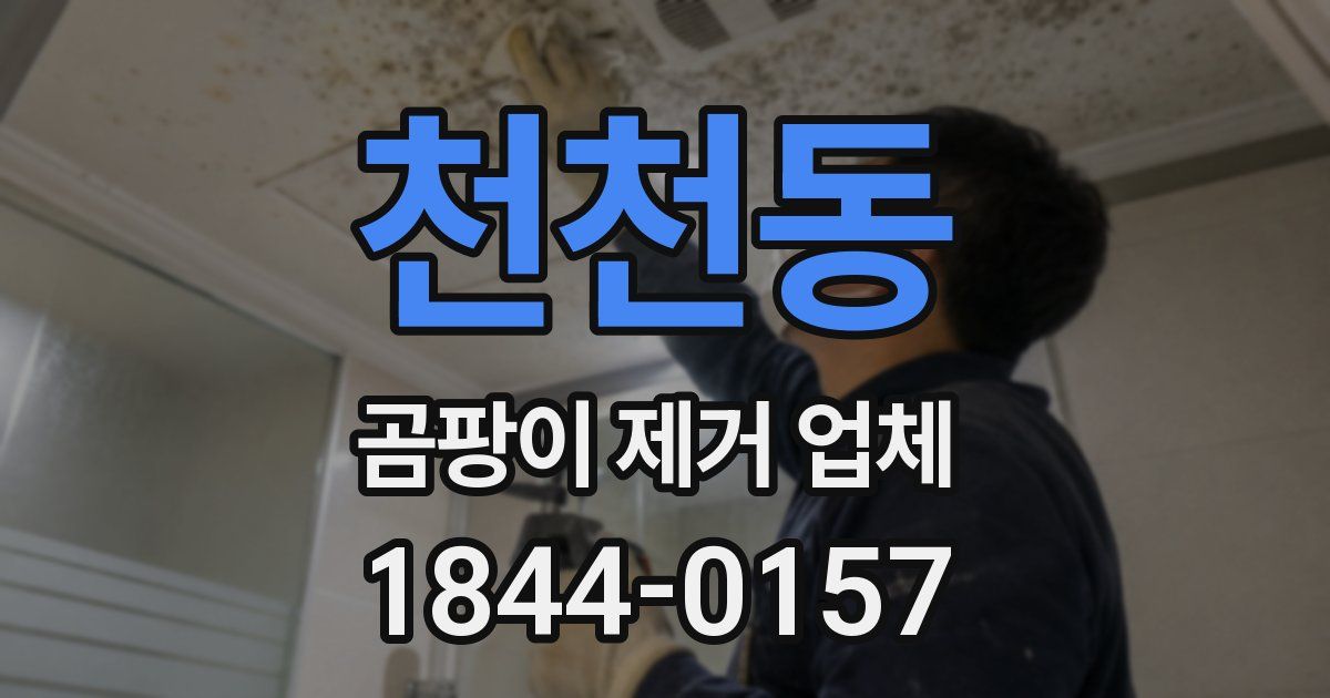 천천동 곰팡이 제거 업체