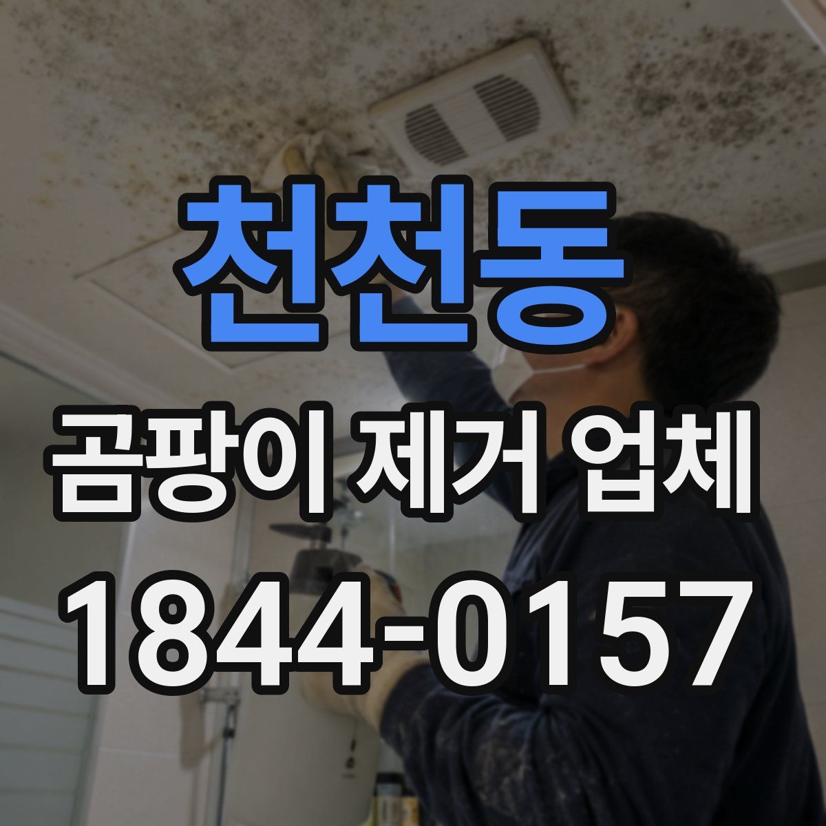 천천동 곰팡이 제거 업체