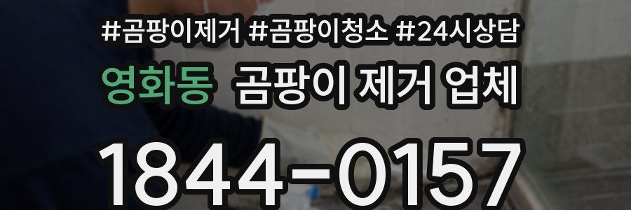영화동 곰팡이 제거 업체