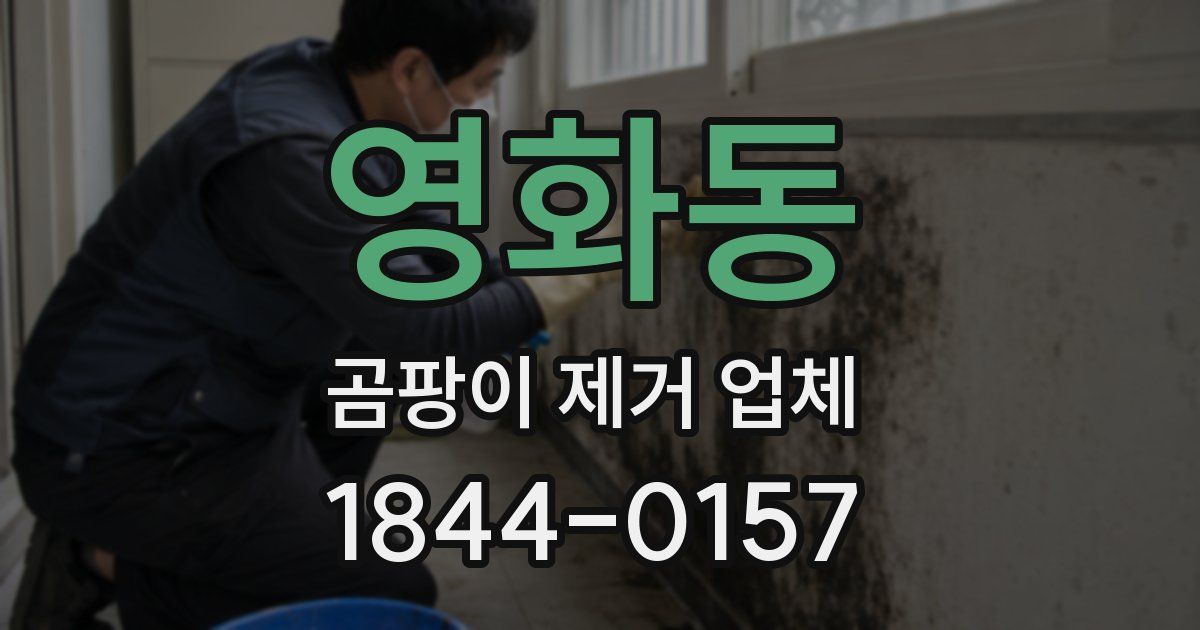 영화동 곰팡이 제거 업체